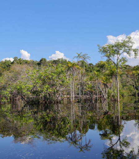 Governo levantou R$ 179 bi desde 2023 para transição ecológica