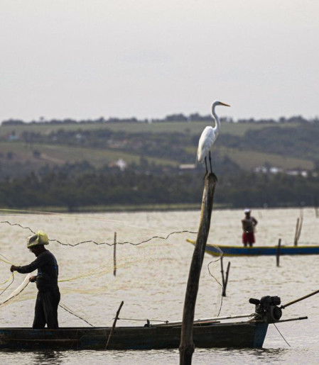 Sexto lote do seguro-defeso será disponibilizado na terça-feira