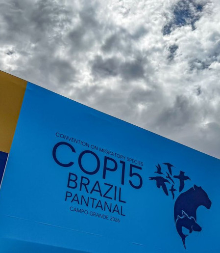 Cúpula de líderes orienta debates para COP15 em Campo Grande