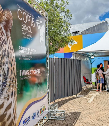 Brasil sedia encontro mundial sobre proteção de espécies migratórias