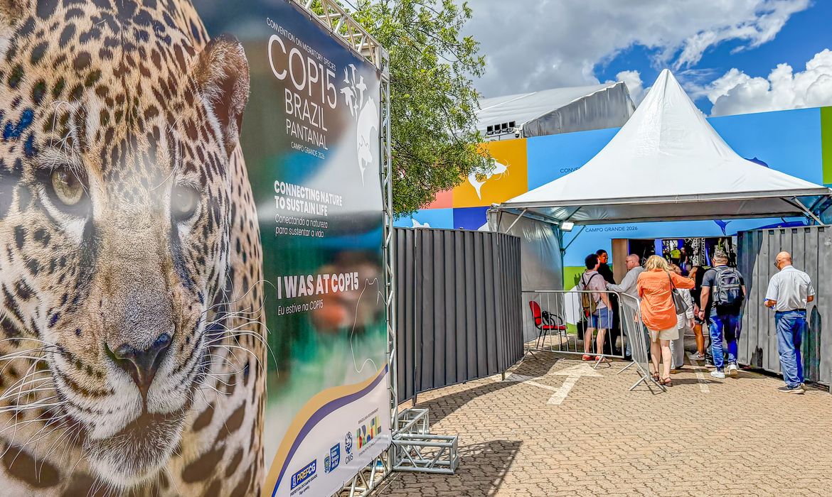 Brasil sedia encontro mundial sobre proteção de espécies migratórias