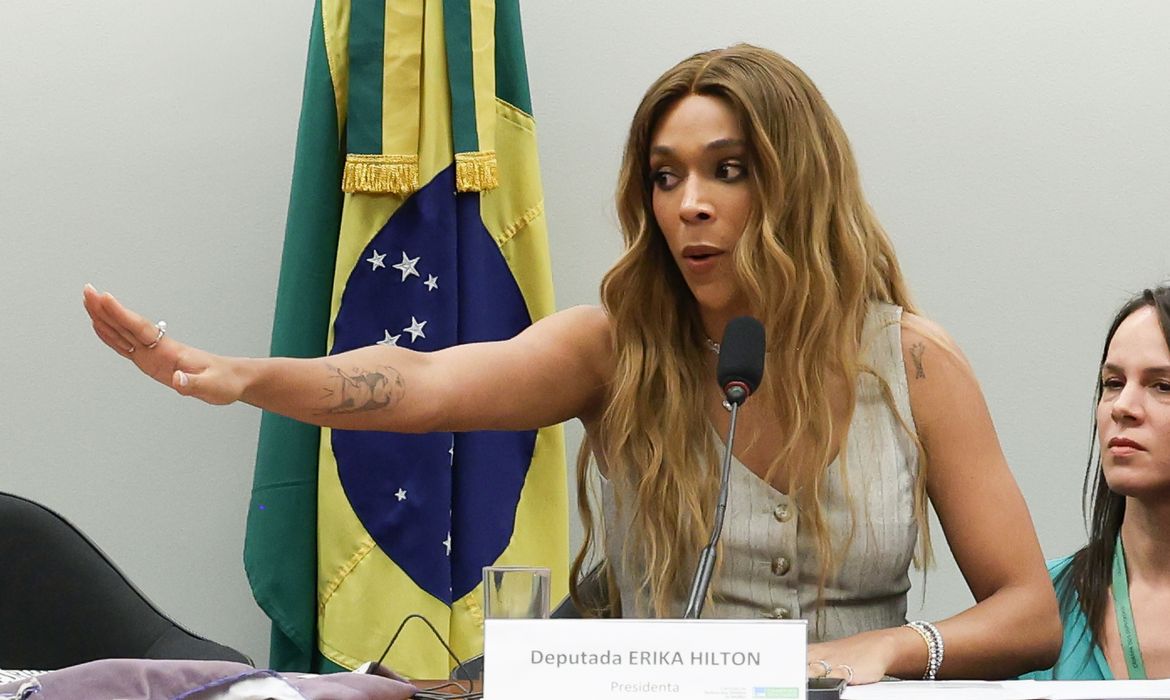 Comissão enfrentará "sistema organizado de opressão", diz Erika Hilton