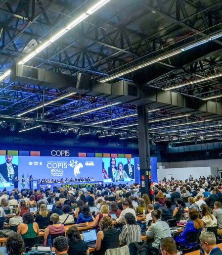 Diversidade marca cerimônia de abertura da COP15 em Campo Grande