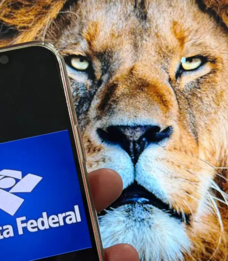 Imposto de renda: Receita já recebeu mais de 450 mil declarações  