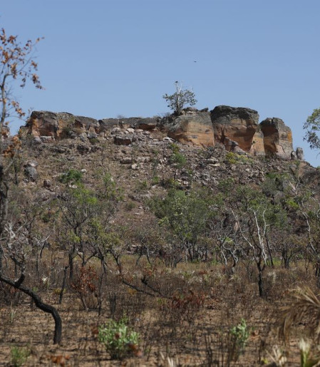 Pesquisa com IA identifica terras agrícolas abandonadas no Cerrado 
