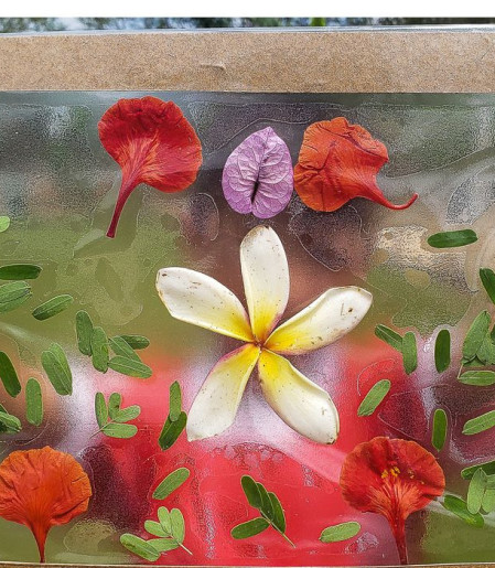 TEDxAmazônia 2026 será realizado pela 1ª vez fora do Brasil