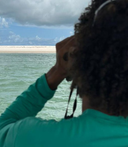 Elefante-marinho volta a ser avistado no litoral alagoano