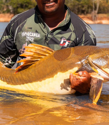 COP15 aprova maior proteção de bagres gigantes da Amazônia e ariranhas