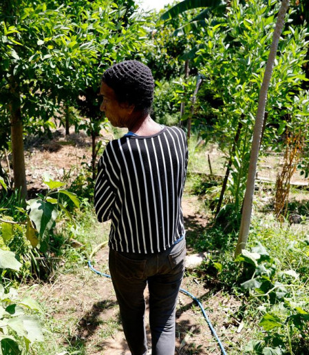 Horta comunitária reúne memória, cuidado e cidadania em favela do Rio