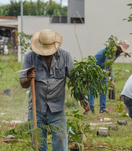 BB vai compensar emissões da COP15 no Brasil