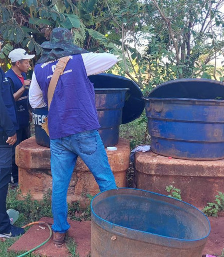 Chikungunya: entenda doença que preocupa Mato Grosso do Sul