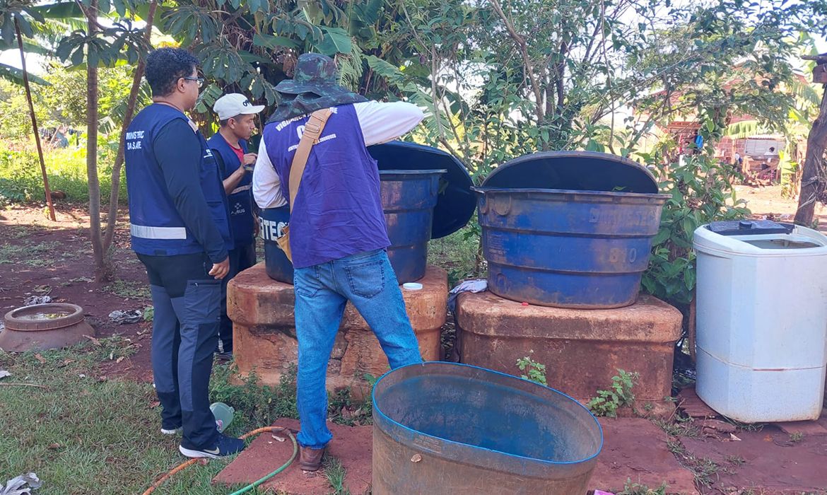 Chikungunya: entenda doença que preocupa Mato Grosso do Sul