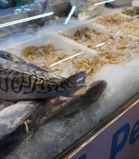 Vigilância Sanitária orienta sobre compra de pescado na Semana Santa