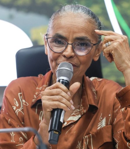 Em balanço, Marina destaca queda do desmatamento e maior fiscalização