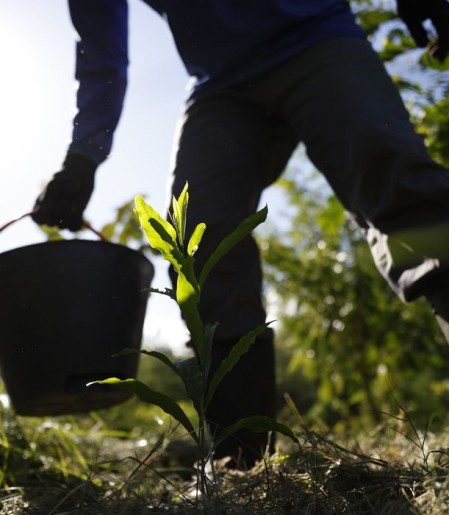 Governo apresenta plano para desenvolver bioeconomia no país