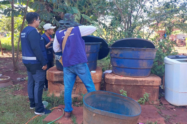 Chikungunya: ministro classifica como crítica situação em Dourados