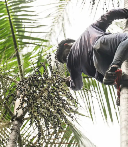 Governo investe R$ 132 milhões em regularização fundiária na Amazônia