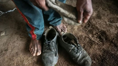 Amado Batista e BYD são incluídos em lista de trabalho escravo do MTE