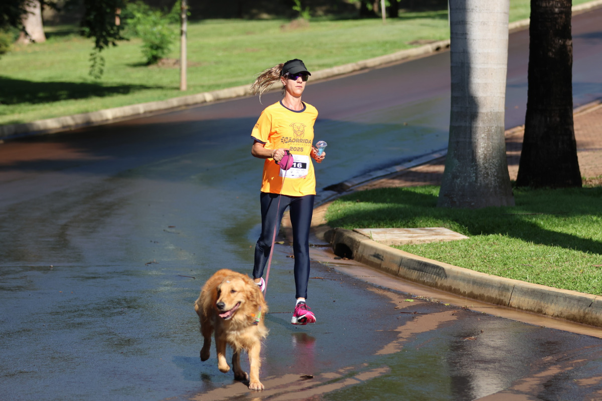 C&atilde;ominhada Santa Maria Outlet
