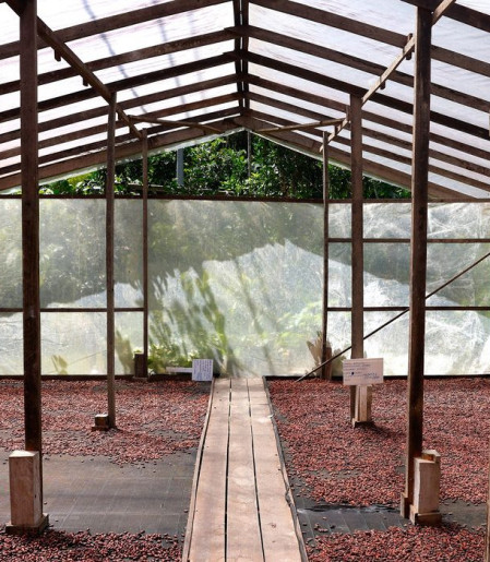 Edital seleciona projetos de inovação no Amazonas, Pará e Rondônia