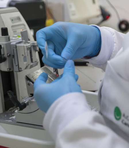 Nova lei amplia acesso a terapias e vacinas contra o câncer no SUS