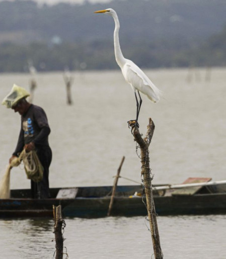 Mudanças aprovadas para o seguro-defeso previnem fraudes, diz relator