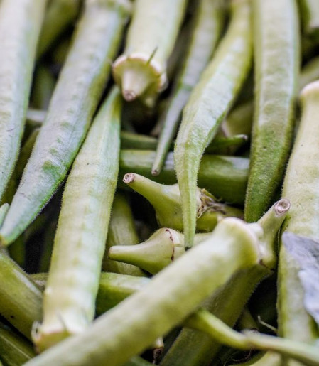 Garantia-Safra: veja lista dos que receberão pagamento em abril