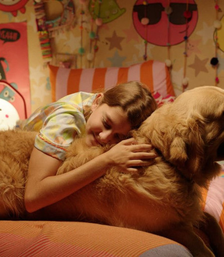 Festival de cinema BIFF 2026 divulga programação e selecionados