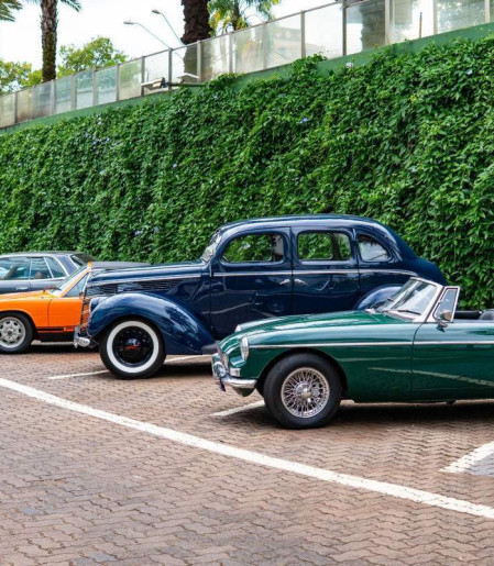 Exposição acontece até 21 de abril no RibeirãoShopping