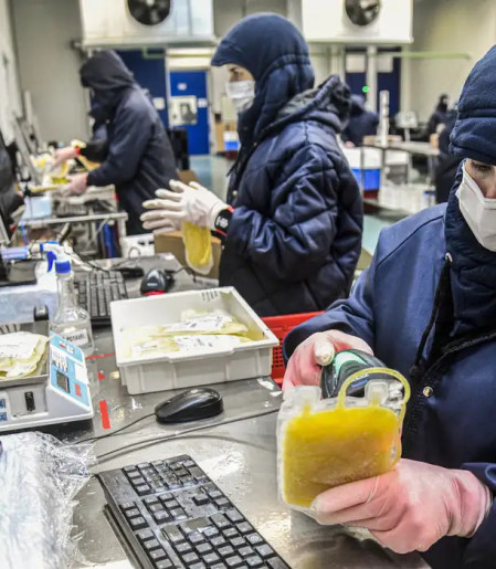 Dia Mundial da Hemofilia: campanha reforça importância do diagnóstico