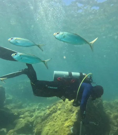 ONG busca ciência para orientar manejo sustentável de costões rochosos