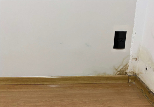 Manchas de infiltração em apartamento recém-entregue pela MRV