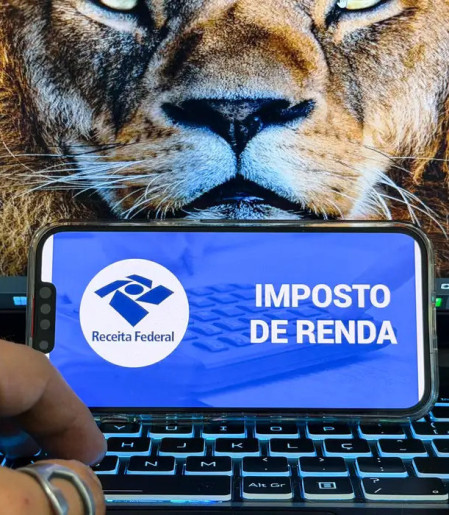 Receita abre consulta a lote da malha fina do Imposto de Renda