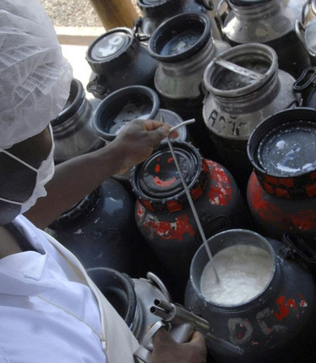 CMN libera linha de capital de giro a cooperativas de leite no Pronaf