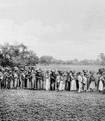 Maioria de empresários que apoiou ditadura vem de famílias escravistas