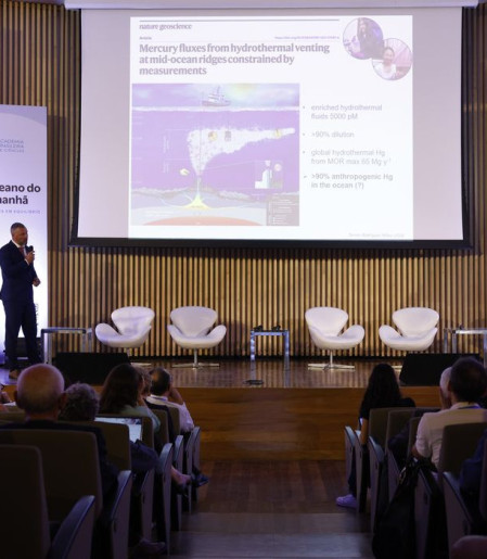 Pesquisadores alertam para impacto da poluição do oceano por mercúrio