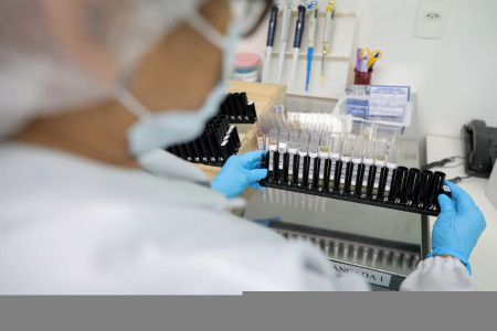 Fiocruz obtém patente para tratamento contra malária resistente