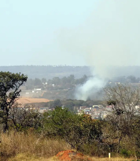 MMA lança edital para arborizar periferia urbana de pequenas cidades 