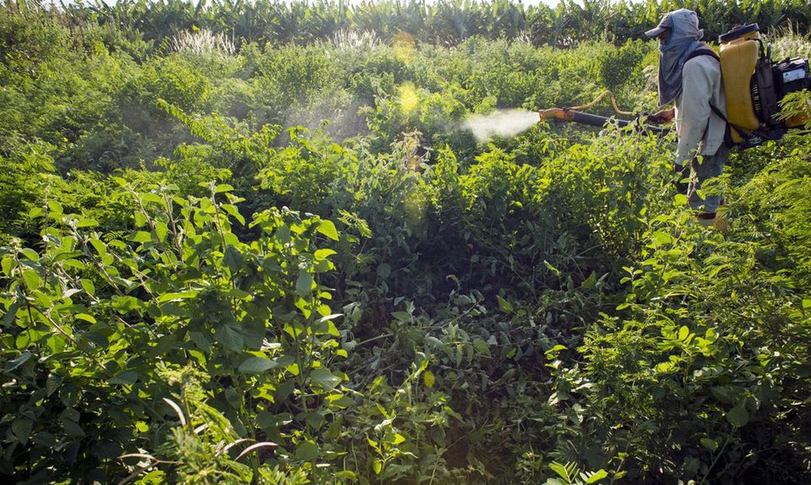 Governo vai monitorar presença de agrotóxico em bacias hidrográficas