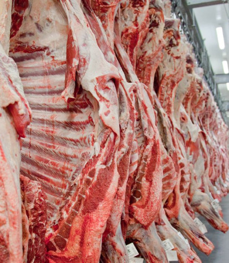 Governo promete reverter veto da UE a carnes e animais brasileiros