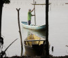 Conferências estaduais de aquicultura e pesca serão em junho e jullho