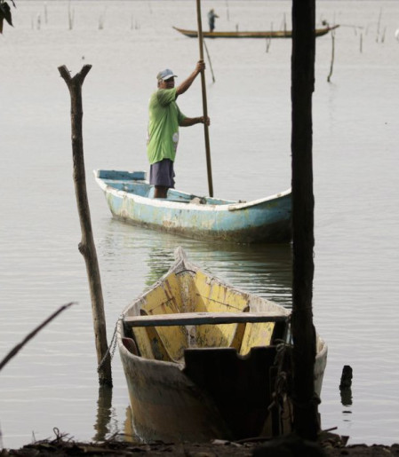 Conferências estaduais de aquicultura e pesca serão em junho e jullho