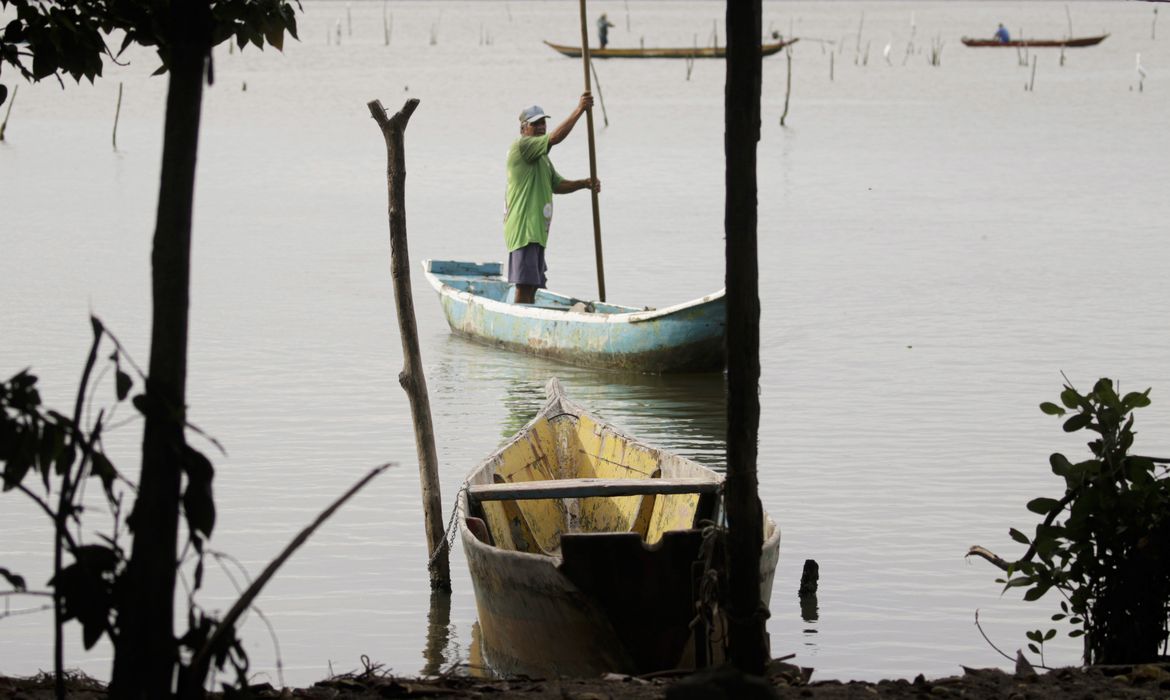 Conferências estaduais de aquicultura e pesca serão em junho e jullho