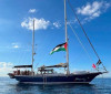 Três brasileiras da flotilha rumo a Gaza são detidas por Israel