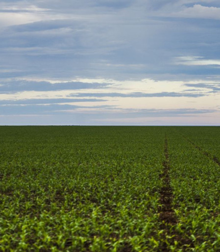Fazenda estuda Fundo Garantidor para dívidas rurais