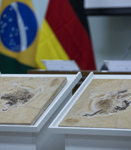 Brasil quer recuperar dinossauros e patrimônios que estão em 14 países