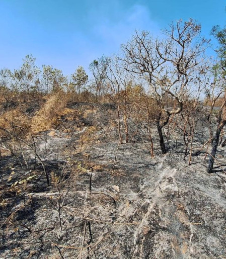 Mudanças climáticas já afetam 85% dos brasileiros, diz pesquisa