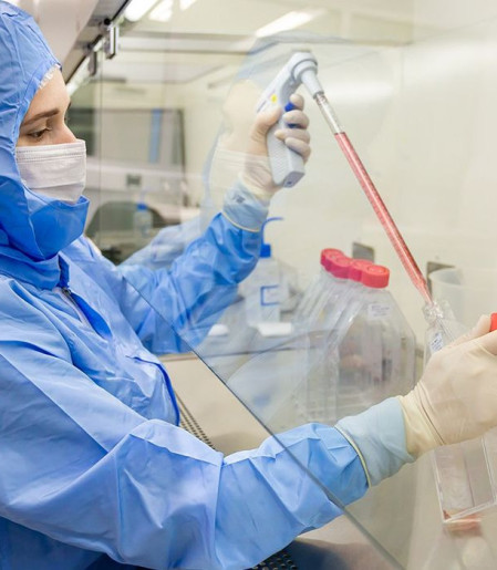 Estudo usa células-tronco contra complicações do transplante de medula