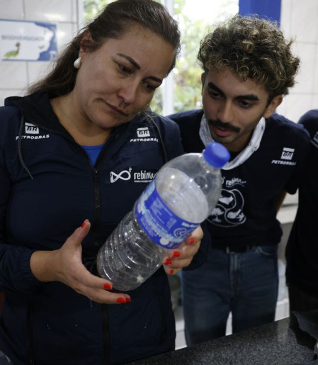 Mais de 93% dos peixes vendidos no litoral do Paraná têm microplástico