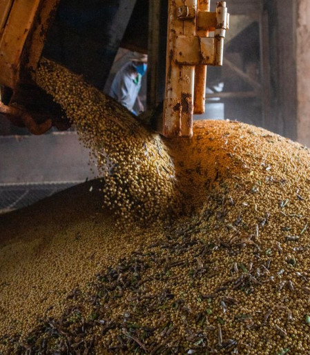 Economia brasileira cresce 1,1% no 1º trimestre
